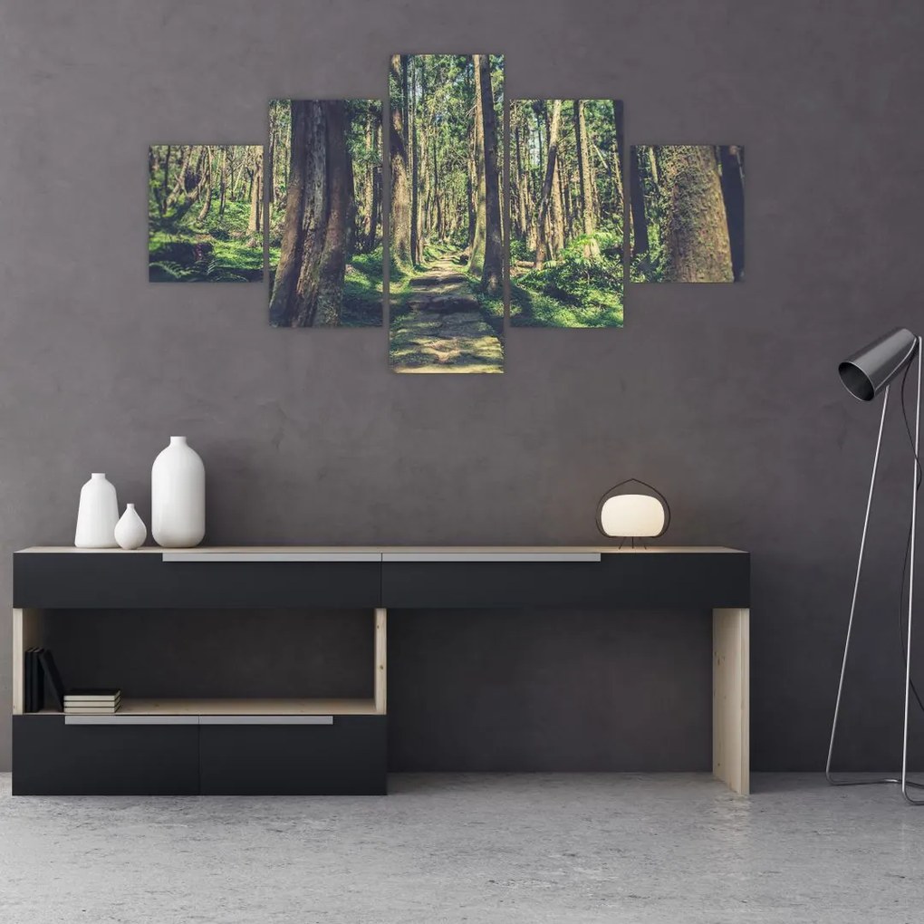 Obraz ścieżki pomiędzy drzewami (125x70 cm)