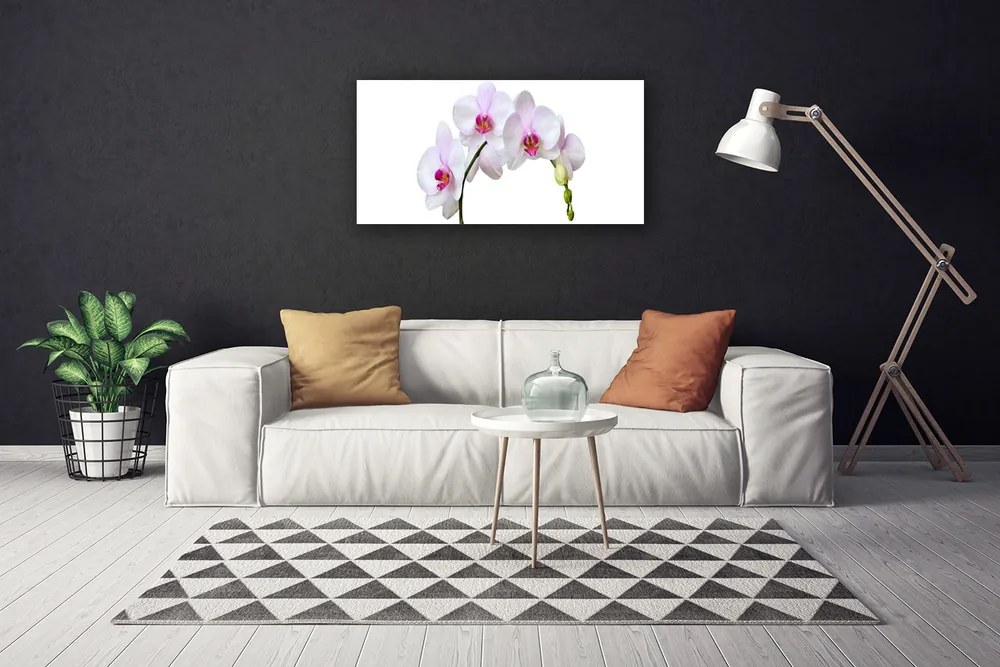 Obraz Canvas Storczyk Orchidea Kwiaty