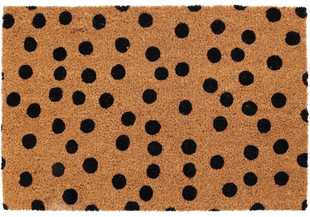 Wycieraczka kokosowa Point, 39 x 59 cm