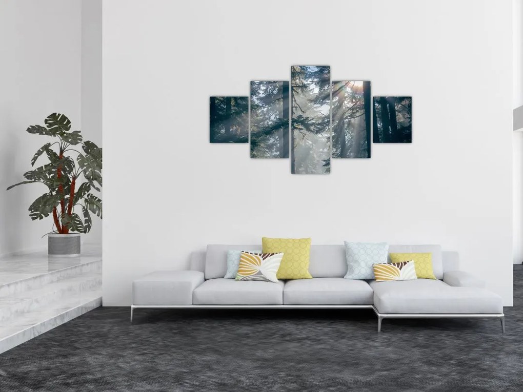 Obraz drzew, przez które prześwieca słońce (125x70 cm)