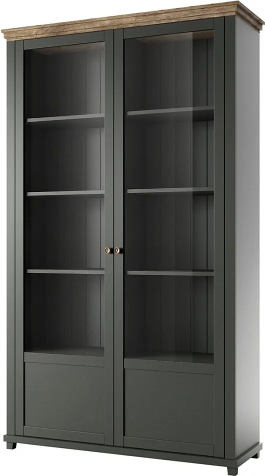 Witryna EVORA 2D zielona mat/dąb lefkas