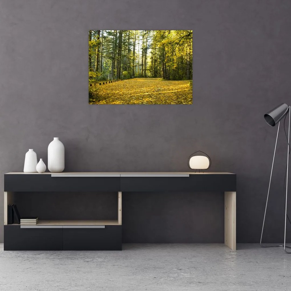Obraz na szkle - las jesienią (70x50 cm)