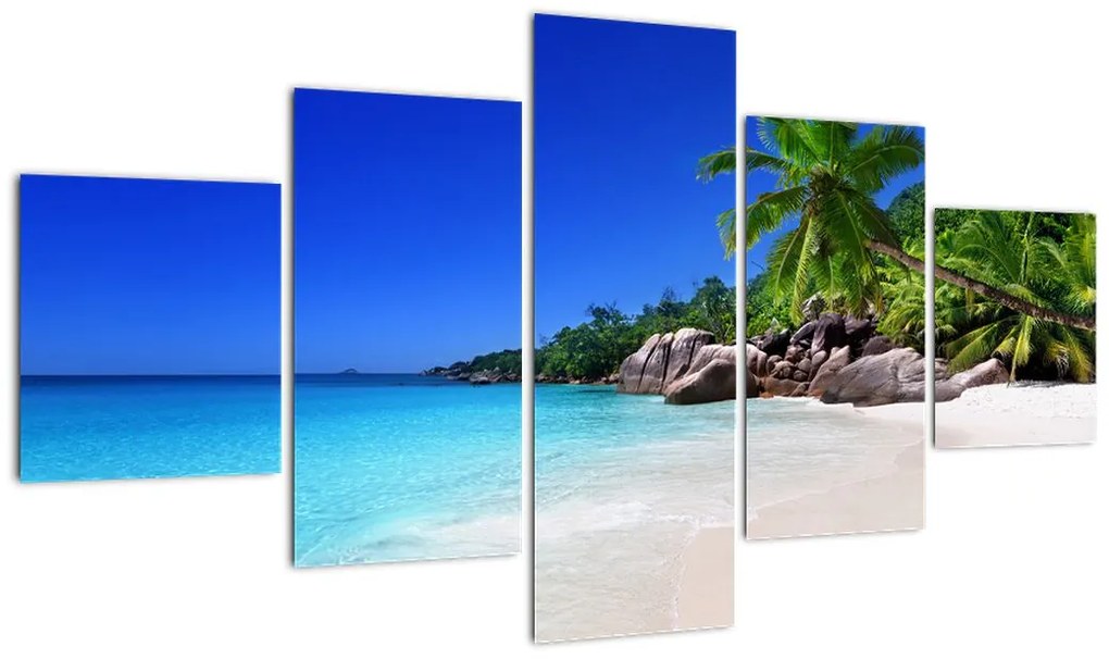 Obraz plaży na wyspie Praslin (125x70 cm)