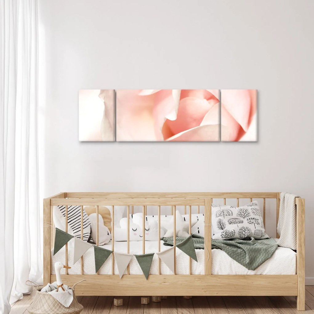 Obraz - Róża (170x50 cm)