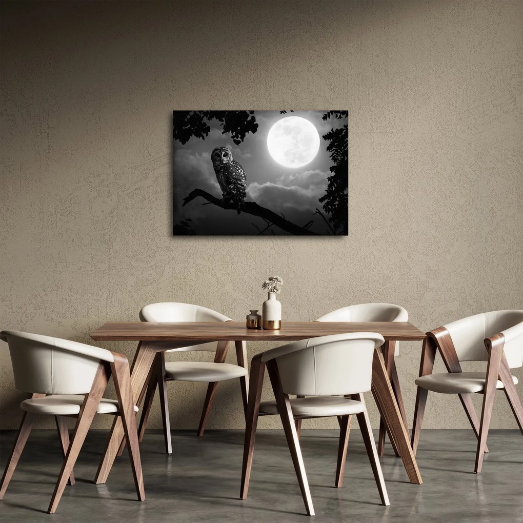 Obraz - Nocna sowa, czarno-biały (70x50 cm)