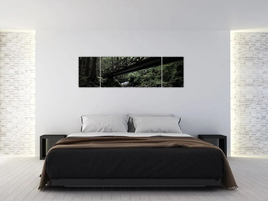 Obraz z czarnego lasu (170x50 cm)