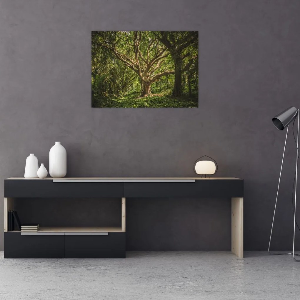 Obraz na szkle drzewa (70x50 cm)