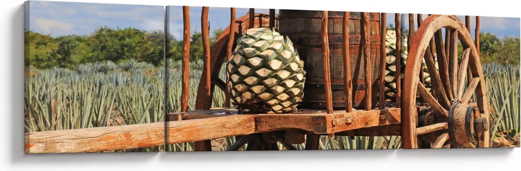 Obraz - Przyczepka (170x50 cm)