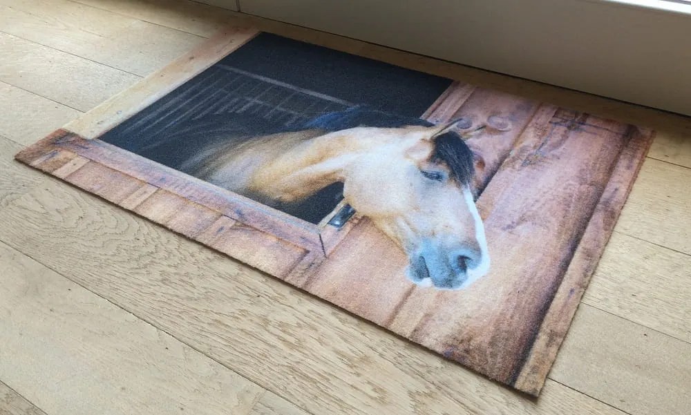 Wycieraczka Deco Star Konik 40 cm x 60 cm