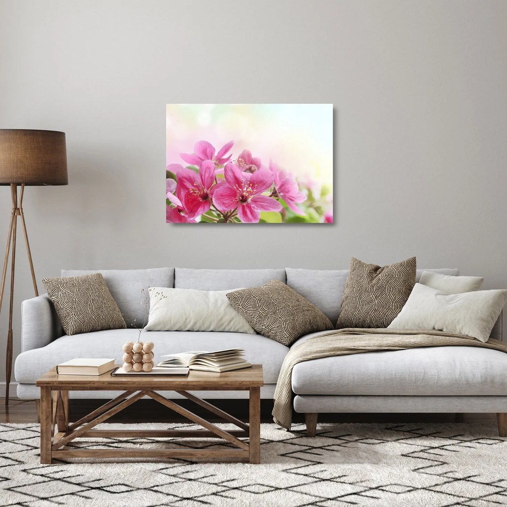 Obraz na szkle - Różowe kwiaty (70x50 cm)