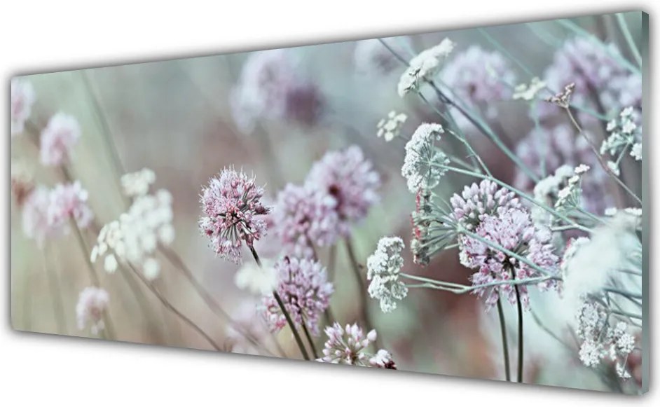 Szkło Dekoracyjne do Kuchni Rozkwit Polnej Polany