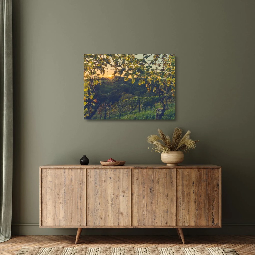 Obraz na szkle - Winnica (70x50 cm)