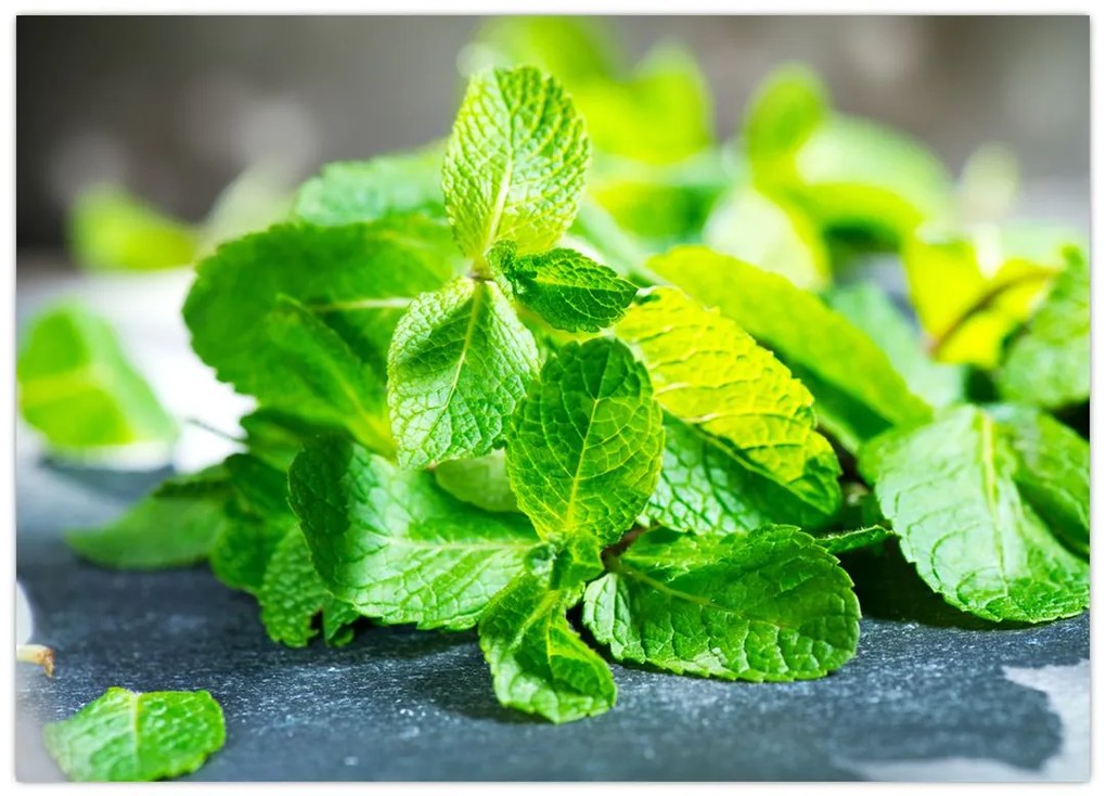 Obraz na szkle mięty (70x50 cm)