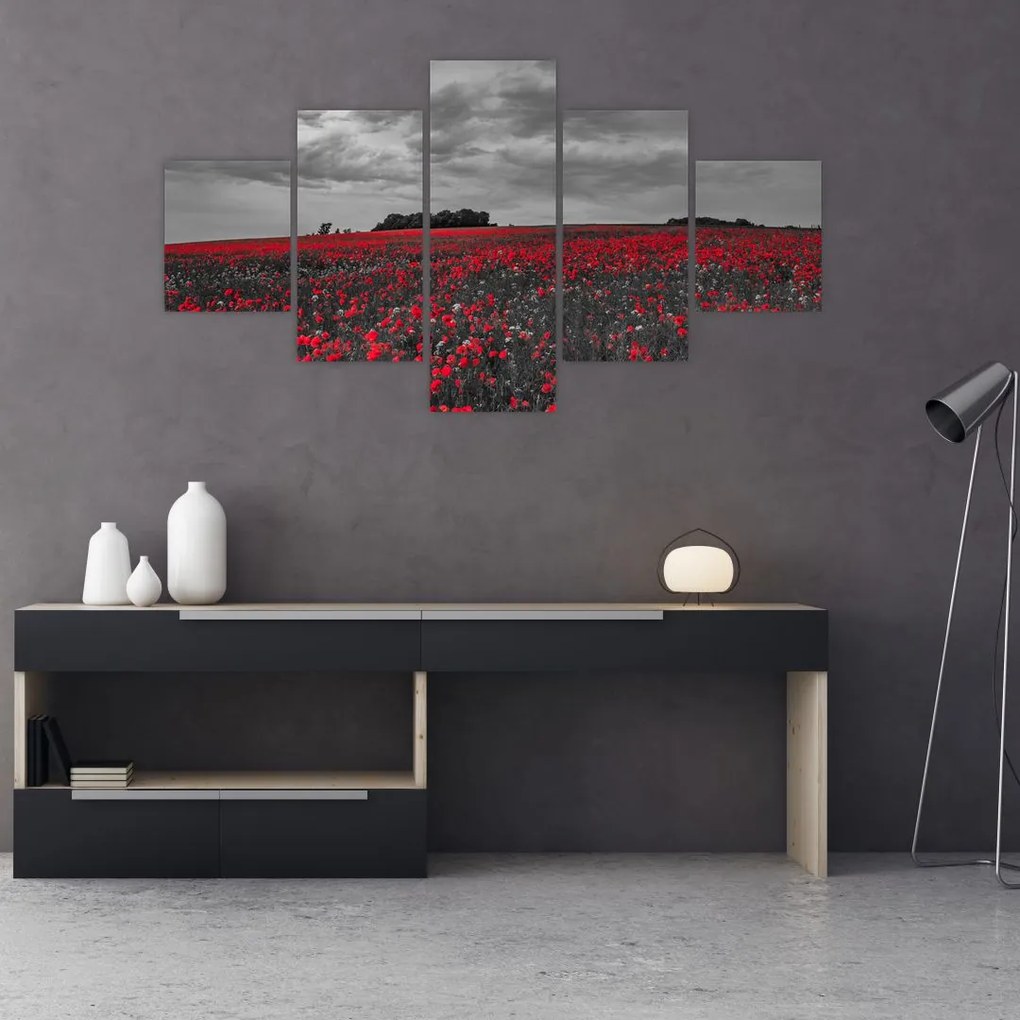 Obraz maków (125x70 cm)