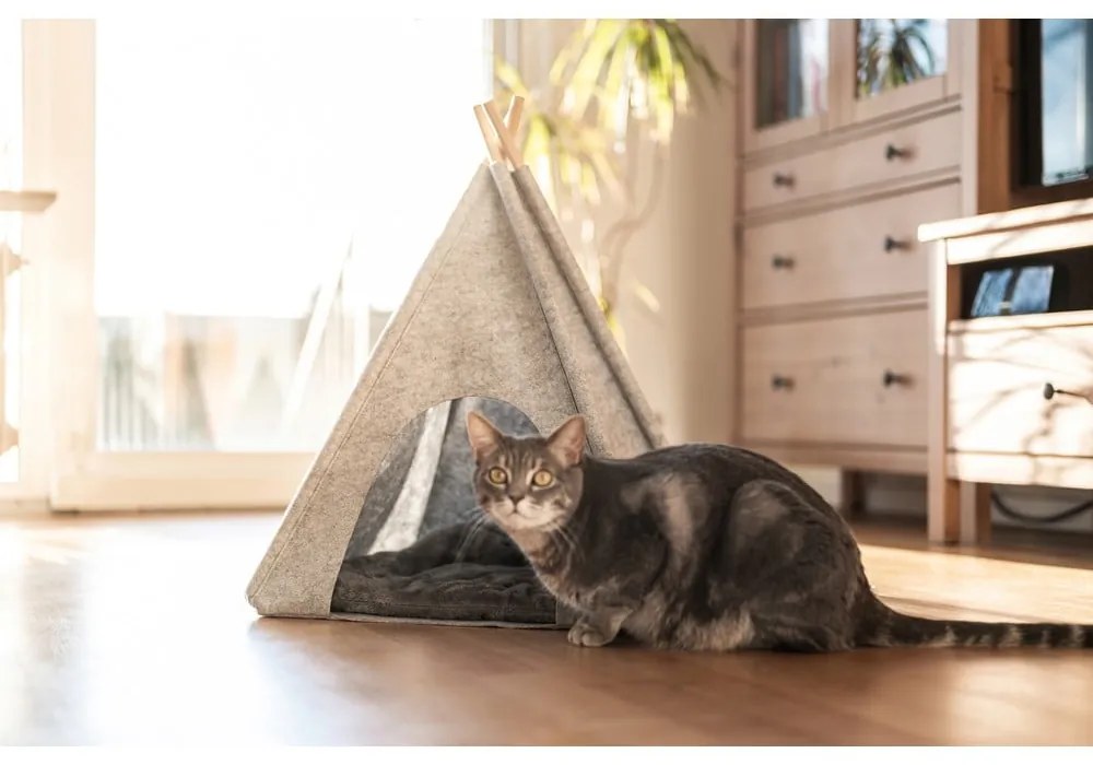 Jasnoszare tipi dla czworonogów Wenko