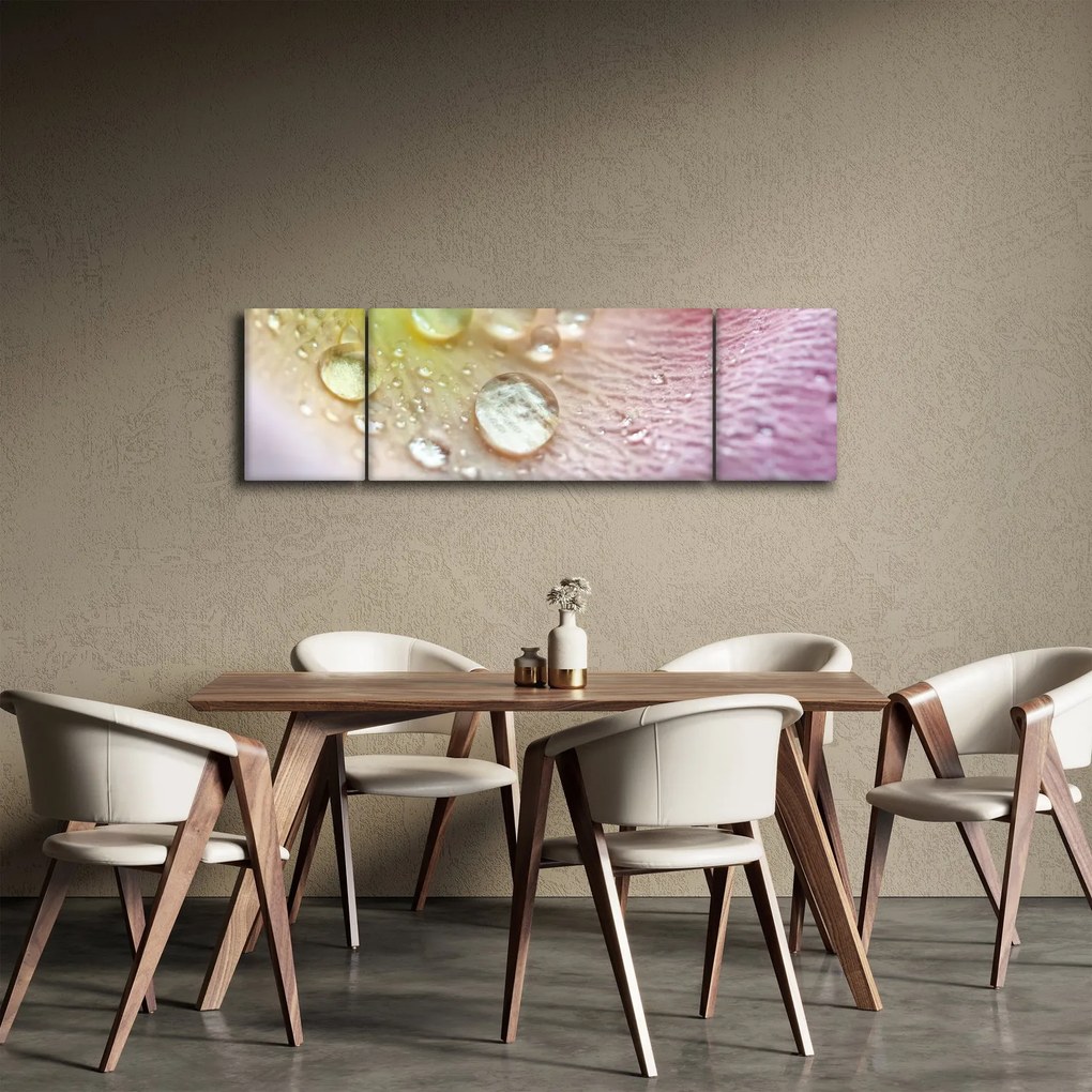 Obraz - Krople rosy (170x50 cm)