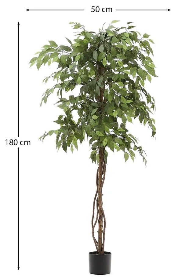 Sztuczny fikus (wysokość 180 cm) Ficus – Kave Home