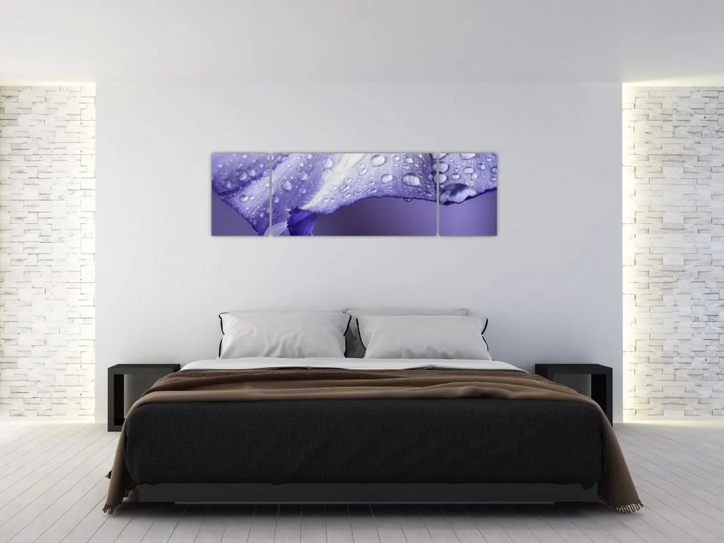 Obraz - Płatek z kroplami (170x50 cm)