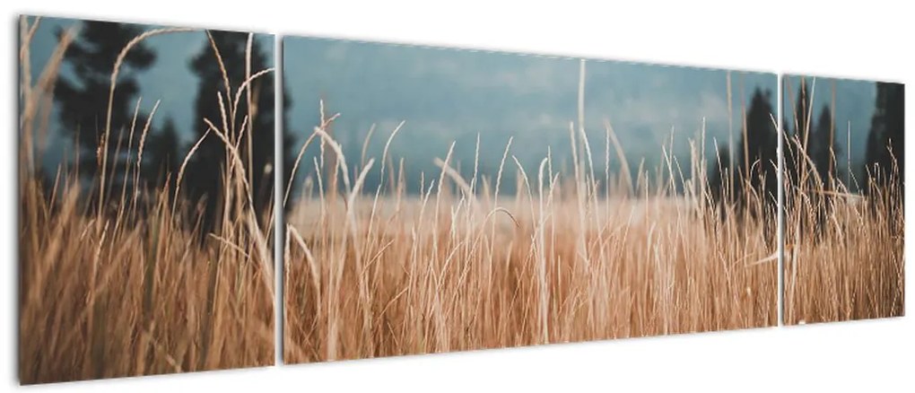 Obraz - szczegół łąki (170x50 cm)