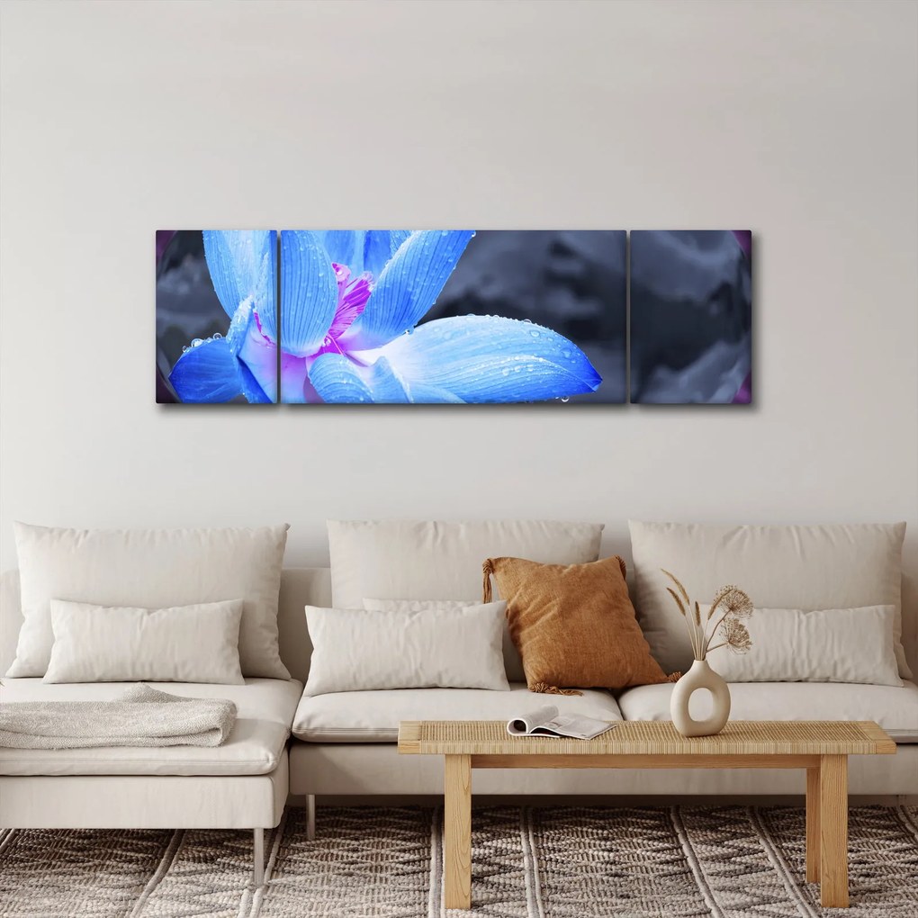Obraz szczegółu kwiatu (170x50 cm)