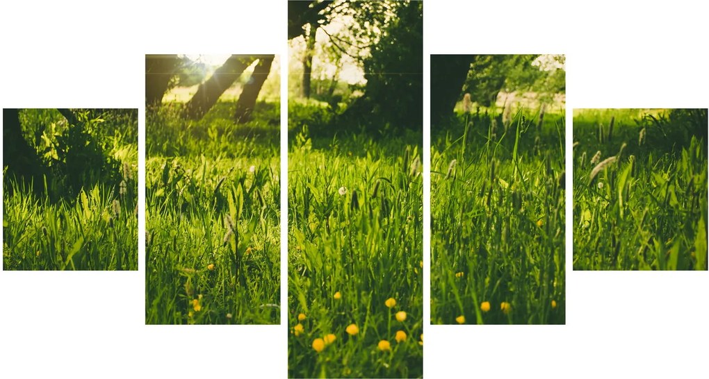 Obraz natury - łąka (125x70 cm)