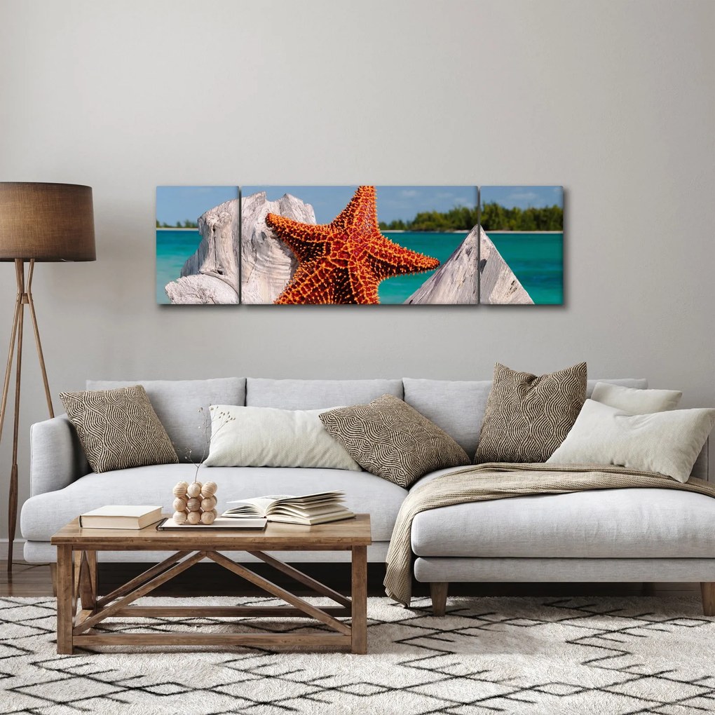 Obraz rozgwiazdy (170x50 cm)