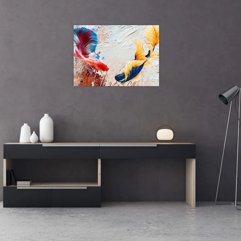 Obraz - Ryby bojowniki (70x50 cm)