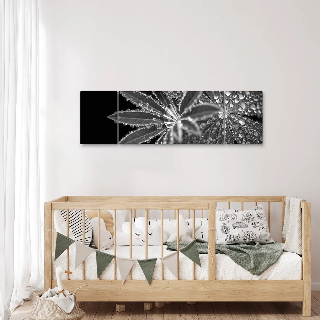Obraz - Krople (170x50 cm)