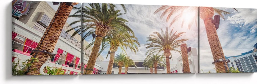 Obraz - palmy z basenem (170x50 cm)