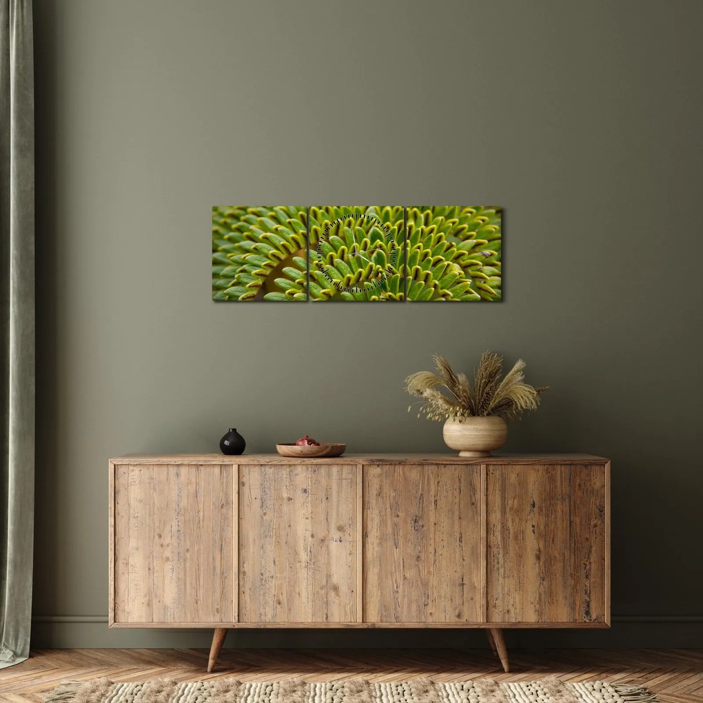 Obraz - Paproć (z zegarem) (90x30 cm)
