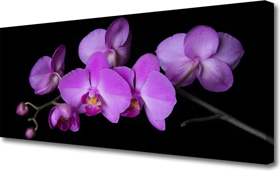 Obraz canvas na ścianę Stylowa Orchidea na Ścianę