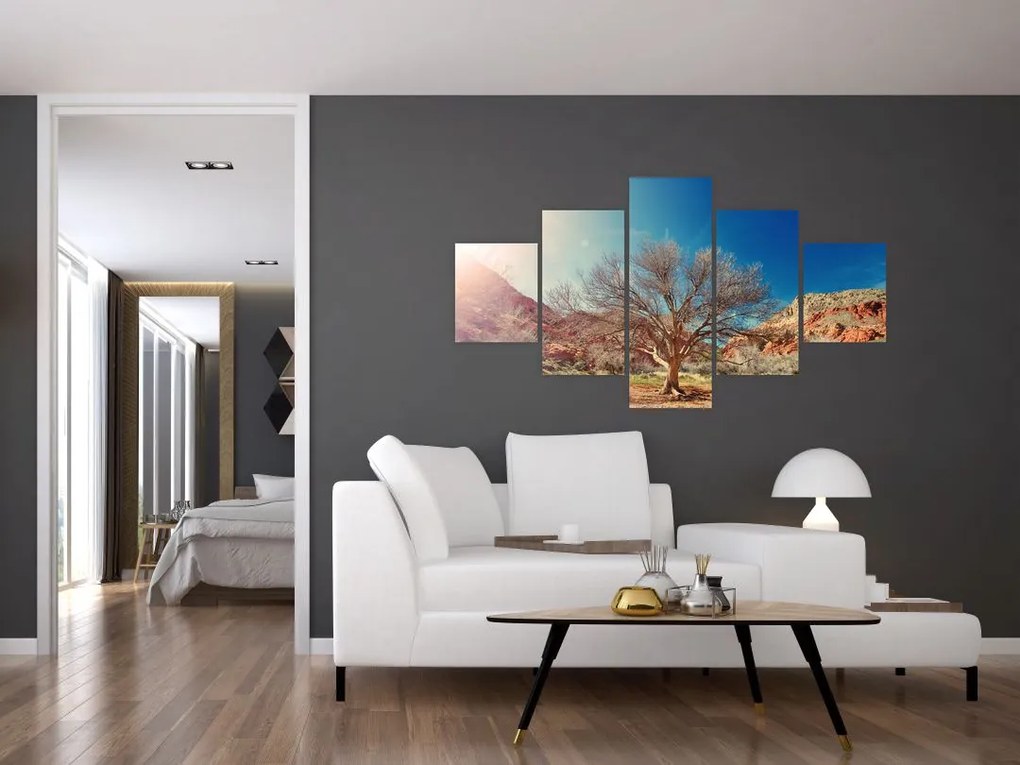 Obraz drzewa na pustyni (125x70 cm)