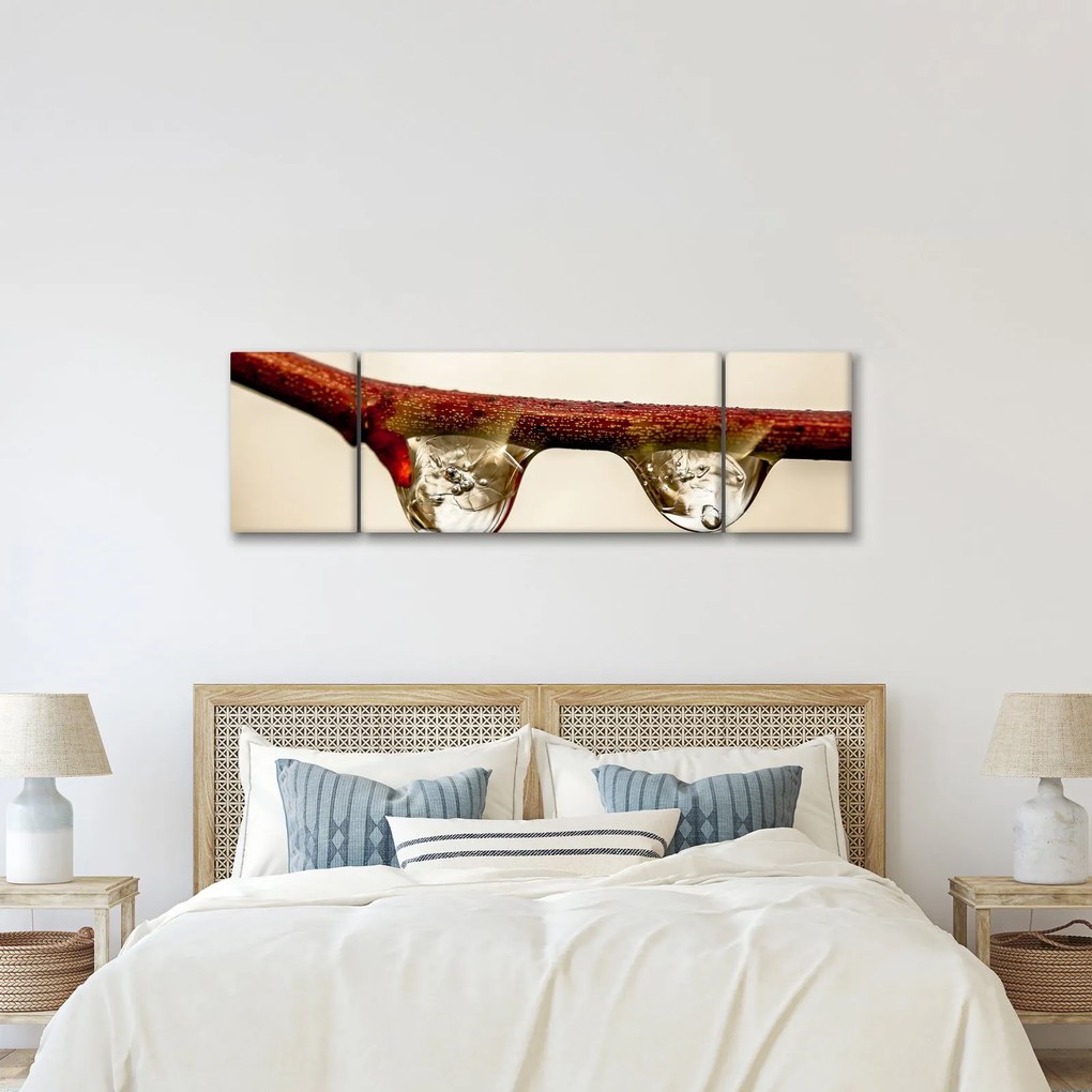 Obraz kropli na gałęzi (170x50 cm)