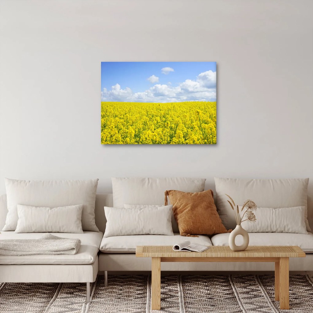 Obraz żółtego pola (70x50 cm)