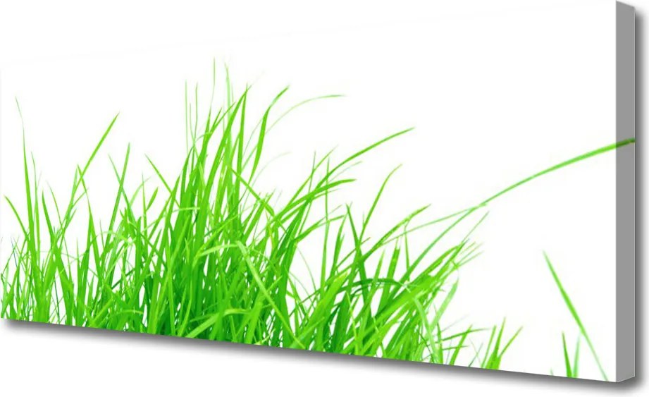 Zdjęcie na płótnie Detale Zielonej Natury