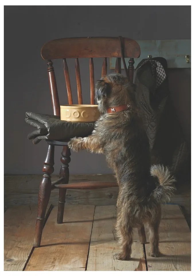Kamionkowa miska dla psa Mason Cash Pet Cane Dog, ø 25 cm