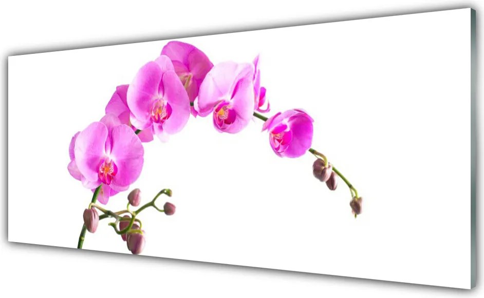 Panel nad blat kuchenny Wyrafinowany Ogród Botaniczny