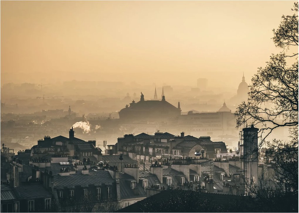Obraz - Miasto pod mgłą (70x50 cm)