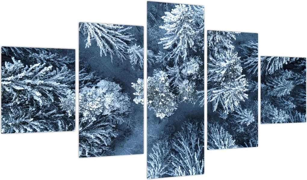 Obraz - Śnieżny las (125x70 cm)