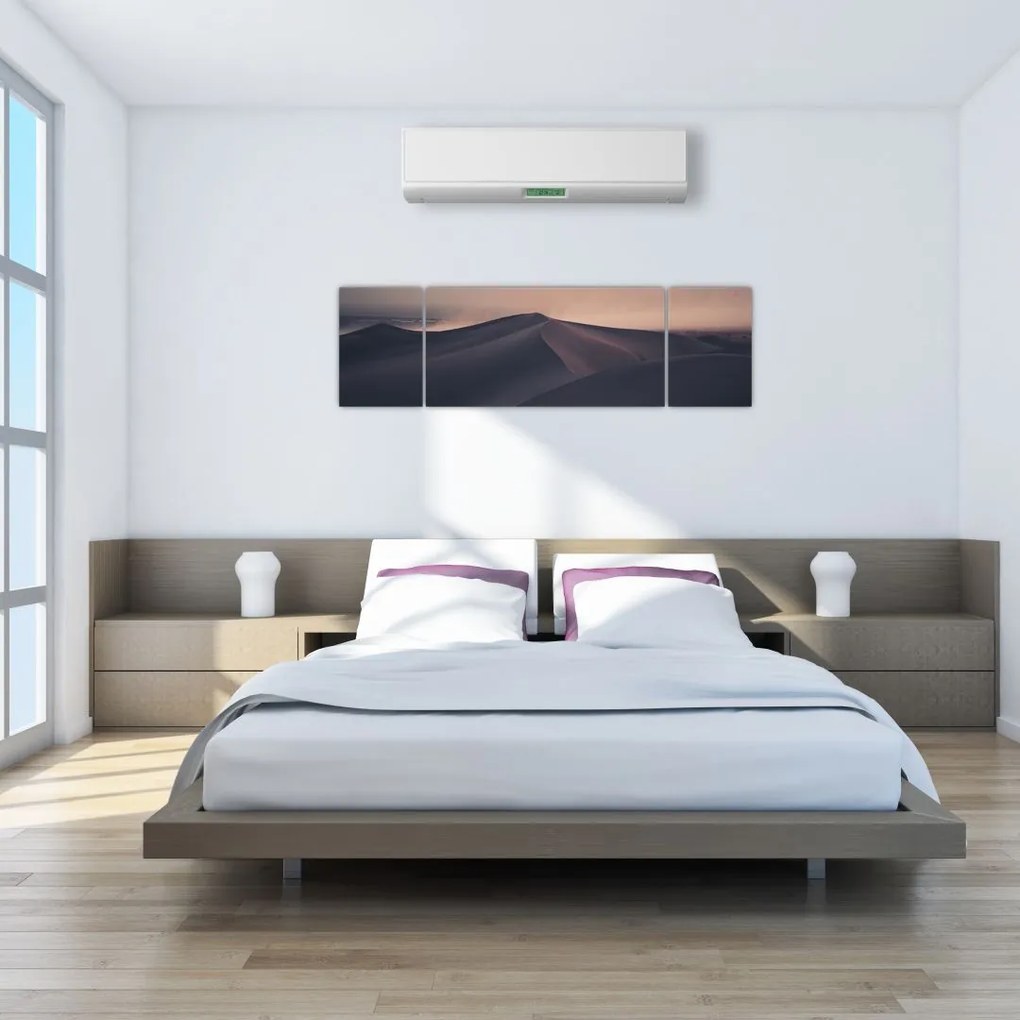 Obraz - Wydmy piaskowe (170x50 cm)