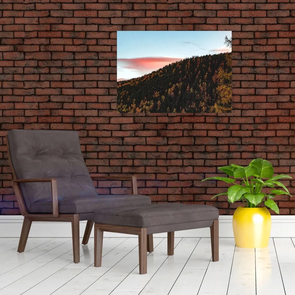 Obraz na szkle rudzików nad wzgórzem (70x50 cm)