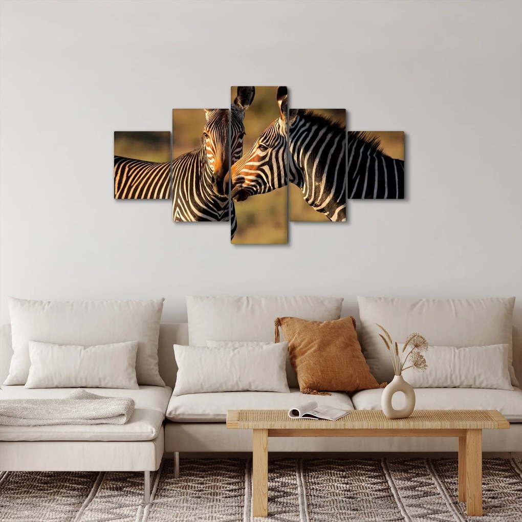 Obraz - Dwie zebry (125x70 cm)