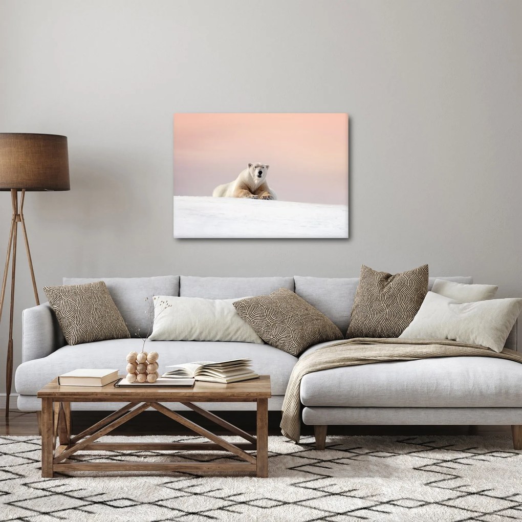 Obraz - Niedźwiedź polarny (70x50 cm)