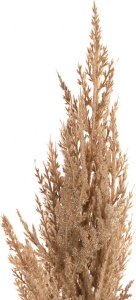 Gałązka Trawy Pampasowej 90cm beige