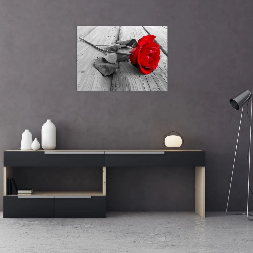 Obraz czerwonej róży (70x50 cm)