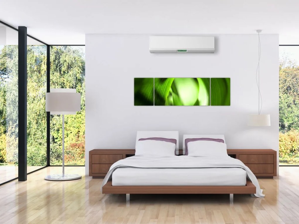 Obraz - Źdźbło trawy (170x50 cm)