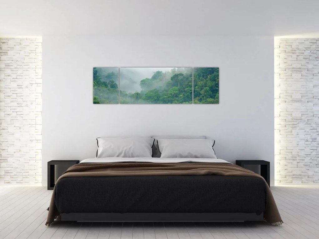 Obraz - Poranna mgła (170x50 cm)