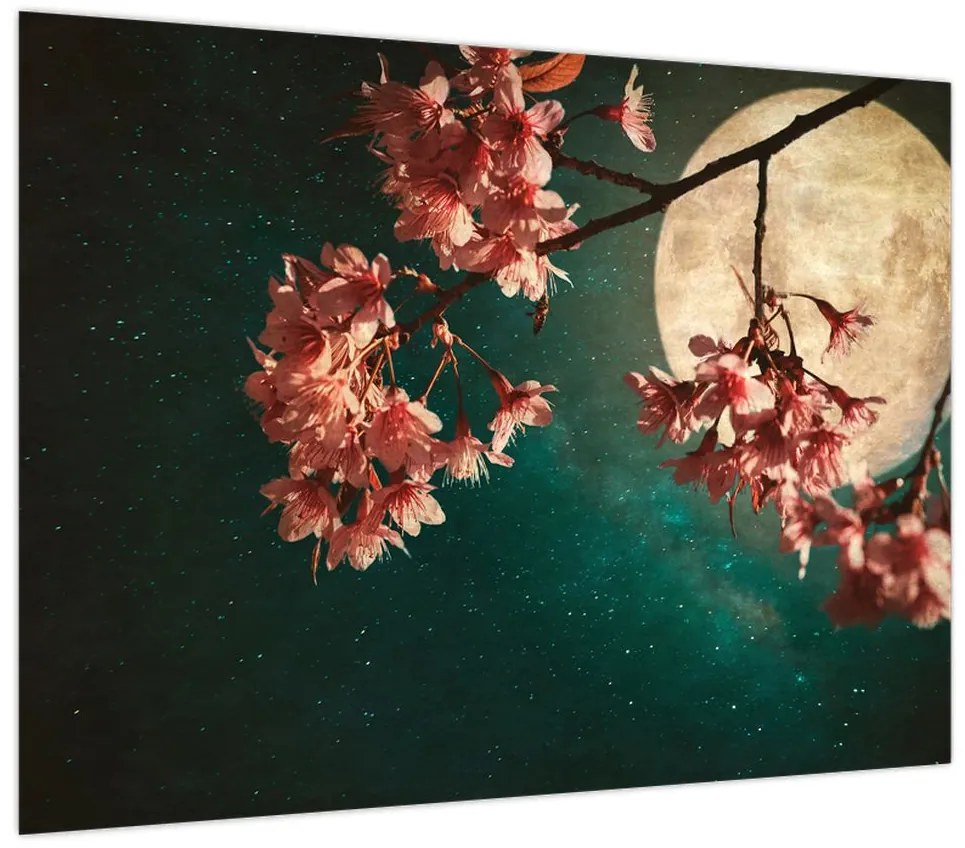 Obraz - Kwiat wiśni podczas pełni (70x50 cm)