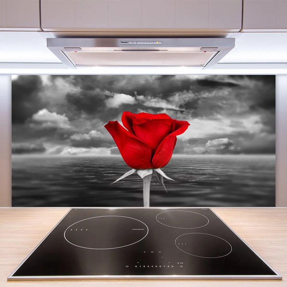 Panel Kuchenny Dzika Róża Nad Brzegiem Morza