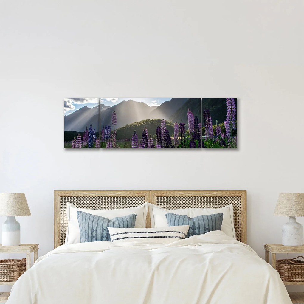 Obraz - Sceneria łubinów (170x50 cm)
